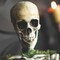 Animated Mossy Skeleton Tabletop Halloween Decoration Spooky Party Centerpiece Prop